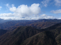 021雲取山の写真