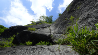 30子持山獅子岩と二子山中央稜の写真